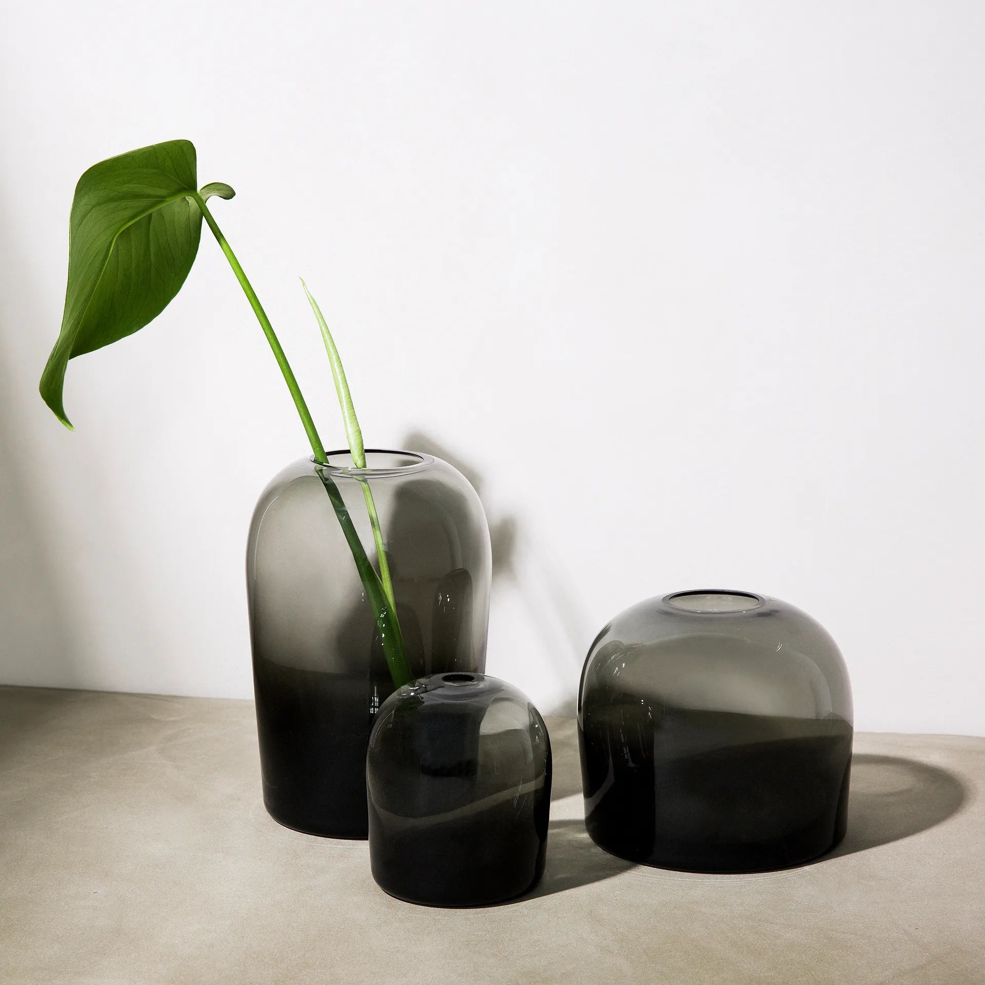 Vase noir transparent design