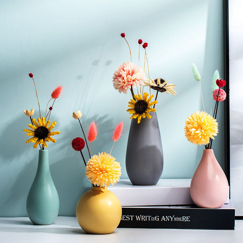Vase plante colorée