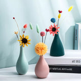 Vase plante colorée