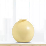 Vase plante colorée