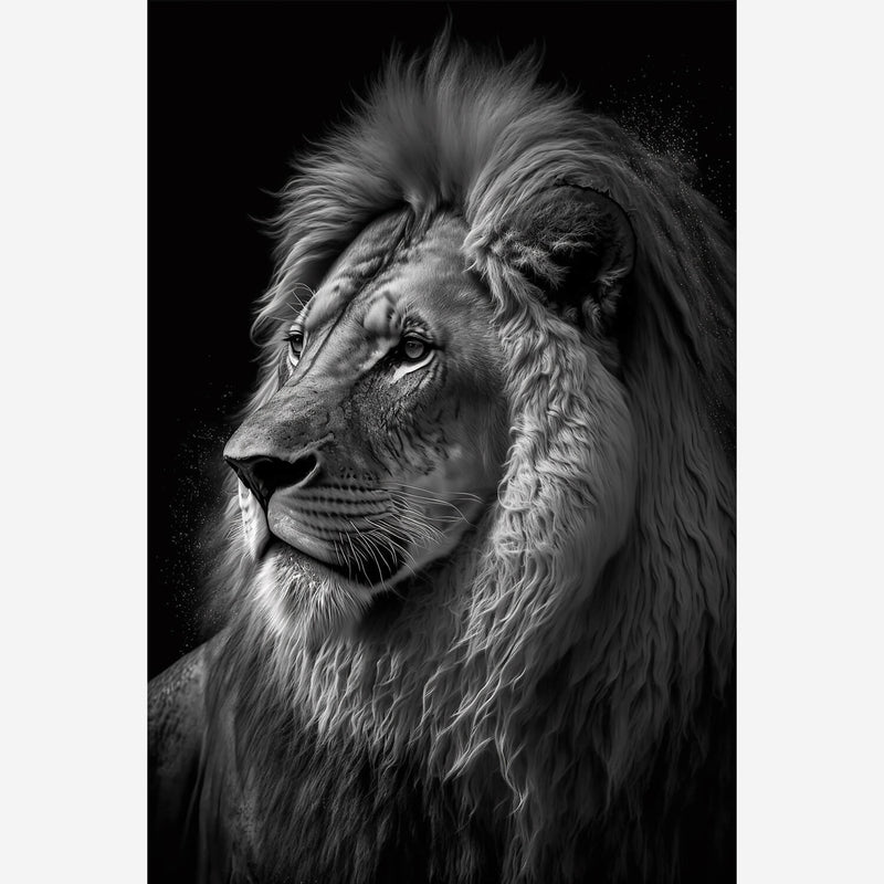 poster lion noir et blanc